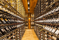 ���ϲ�g�㙉ɫϵ�оƽѾƹ����