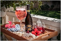 �t���c�㙉��һ���L(f��ng)���ă�(y��u)�Ō�(du��)Ԓ